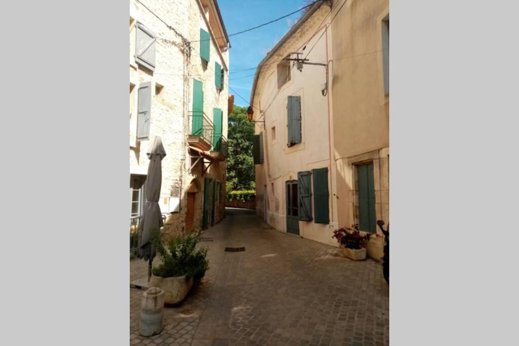 Character Filled House Overlooking The River Cesse Bize-Minervois Esterno foto